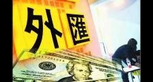 外汇防骗:揭秘招聘外汇交易员外汇操盘手的骗子套路